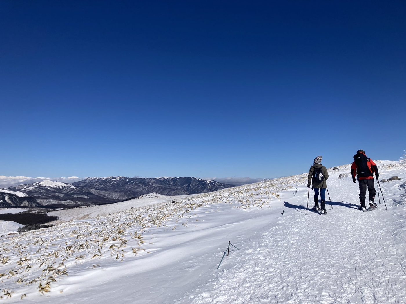 青空の下、霧ヶ峰の雪原を歩く2人