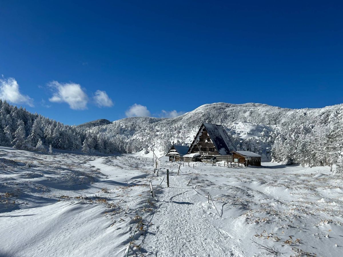 霧氷の山と縞枯山荘